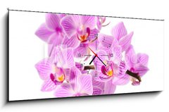 Obraz s hodinami   red orchid, 120 x 50 cm