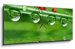 Obraz s hodinami   fresh morning dew and ladybird, 120 x 50 cm