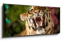Obraz s hodinami 1D panorama - 120 x 50 cm F_AB35010447 - The tiger growls
