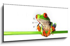 Obraz s hodinami 1D panorama - 120 x 50 cm F_AB35152710 - Rotaugenlaubfrosch 84, Agalychnis callidryas