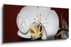 Obraz s hodinami 1D panorama - 120 x 50 cm F_AB3521109 - orchidee
