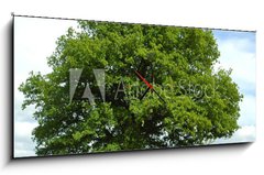 Obraz s hodinami 1D panorama - 120 x 50 cm F_AB35499225 - Eiche