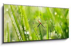 Obraz s hodinami 1D panorama - 120 x 50 cm F_AB35733159 - Morning Dew