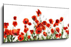 Obraz s hodinami 1D panorama - 120 x 50 cm F_AB357867320 - Beautiful red poppy flowers on white background. Banner design