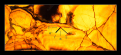Obraz s hodinami 1D panorama - 120 x 50 cm F_AB371525447 - Backlit translucent alabaster. Abstract natural stone texture