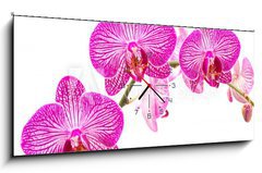 Obraz s hodinami 1D panorama - 120 x 50 cm F_AB37898338 - Tralcio di orchidea