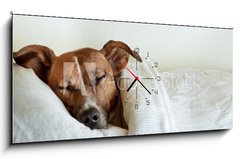 Obraz s hodinami   dog in bed, 120 x 50 cm