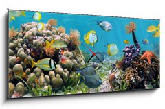 Obraz s hodinami 1D panorama - 120 x 50 cm F_AB39646629 - Underwater panorama in a coral reef with colorful tropical fish and marine life - Podvodní panorama v korálovém útesu s barevnými tropickými rybami a mořským životem