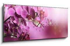 Obraz s hodinami 1D panorama - 120 x 50 cm F_AB39704074 - Orchid flowers composition - Kompozice květin orchidejí