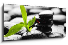 Obraz s hodinami   orchid, 120 x 50 cm