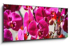 Obraz s hodinami 1D panorama - 120 x 50 cm F_AB404163795 - Close