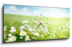 Obraz s hodinami 1D panorama - 120 x 50 cm F_AB40565280 - field of daisy flowers