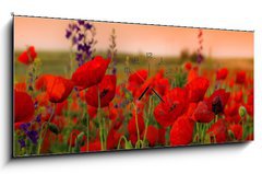 Obraz s hodinami   Field of poppies on a sunset, 120 x 50 cm