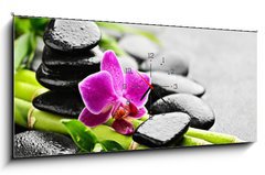 Obraz s hodinami   orchid, 120 x 50 cm