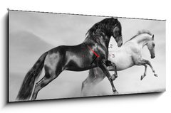 Obraz s hodinami   horses run, 120 x 50 cm