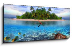 Obraz s hodinami 1D - 120 x 50 cm F_AB40914644 - Marine life at tropical island of Maldives - Mořský život na tropickém ostrově Maledivy