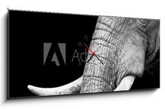 Obraz s hodinami   African Elephant Close Up, 120 x 50 cm