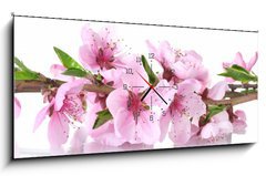 Obraz s hodinami   beautiful pink peach blossom isolated on white, 120 x 50 cm