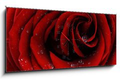 Obraz s hodinami 1D panorama - 120 x 50 cm F_AB41252585 - Red rose closeup - erven re detailn