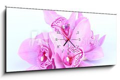 Obraz s hodinami 1D panorama - 120 x 50 cm F_AB41582656 - beautiful pink orchid against blue background