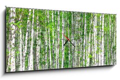 Obraz s hodinami 1D panorama - 120 x 50 cm F_AB41678532 - Birch forest. May - Birch les. Smět