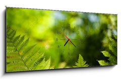 Obraz s hodinami 1D panorama - 120 x 50 cm F_AB419413555 - Green fresh fern leafs in a forest with trees in the background and a blue sky
