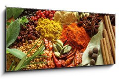 Obraz s hodinami 1D panorama - 120 x 50 cm F_AB42017761 - Spices and herbs - Koen a byliny