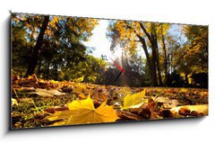 Obraz s hodinami 1D panorama - 120 x 50 cm F_AB42033806 - Fall autumn park. Falling leaves in a sunny day - Pd podzimn park. Padajc listy za slunenho dne