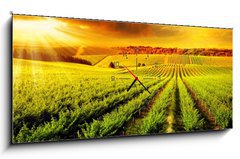 Obraz s hodinami   Stunning Vineyard Sunset, 120 x 50 cm