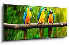 Obraz s hodinami 1D panorama - 120 x 50 cm F_AB42532067 - Blue-and-Yellow Macaw