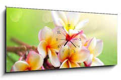 Obraz s hodinami 1D panorama - 120 x 50 cm F_AB42559107 - Frangipani Tropical Spa Flower. Plumeria. Shallow DOF - Frangipani tropick lzn kvt. Plumeria. Mlk DOF