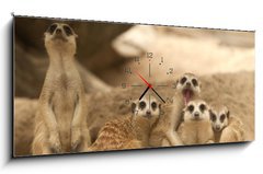 Obraz s hodinami   Portrait group of meerkat, 120 x 50 cm