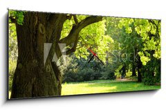 Obraz s hodinami 1D panorama - 120 x 50 cm F_AB42887585 - Mighty oak tree