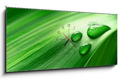 Obraz s hodinami 1D panorama - 120 x 50 cm F_AB43098677 - Plantleaf