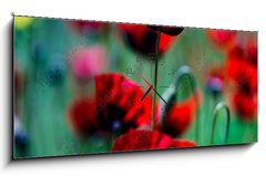 Obraz s hodinami 1D panorama - 120 x 50 cm F_AB431365437 - Red poppy flowers ina meadow - Červené květy máku na louce