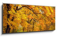 Obraz s hodinami   Autumn / Gold Trees in a park, 120 x 50 cm