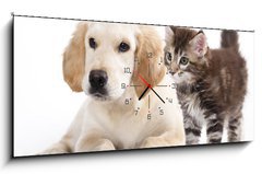 Obraz s hodinami 1D panorama - 120 x 50 cm F_AB43955871 - Cat and dog