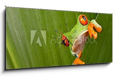 Obraz s hodinami   red eyed tree frog peeping, 120 x 50 cm