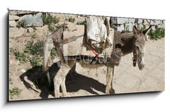 Obraz s hodinami 1D panorama - 120 x 50 cm F_AB44262409 - Esel von trauriger Gestalt - Osel se smutným tvarem