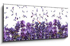 Obraz s hodinami   fresh lavender flowers on white, 120 x 50 cm