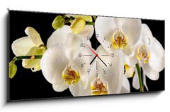 Obraz s hodinami 1D panorama - 120 x 50 cm F_AB44455446 - White orchids on the black background