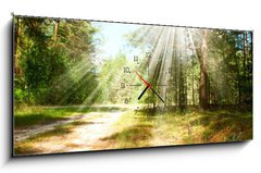 Obraz s hodinami   Forest, 120 x 50 cm