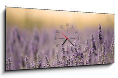 Obraz s hodinami 1D panorama - 120 x 50 cm F_AB44549879 - Summer Meadow with Flower. Lavender.