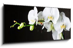 Obraz s hodinami 1D panorama - 120 x 50 cm F_AB44550802 - Close-up of white orchids (phalaenopsis) against dark background