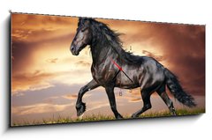 Obraz s hodinami   Black Friesian horse trot, 120 x 50 cm