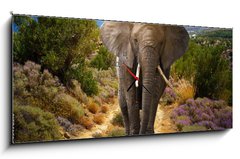 Obraz s hodinami 1D panorama - 120 x 50 cm F_AB45496510 - Elephant walking on the road at sunset