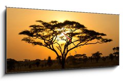 Obraz s hodinami 1D - 120 x 50 cm F_AB45762183 - Rising Sun shinning through an Acacia Tree in Serengeti - Stoupající slunce se prolíná stromem akácie v Serengeti