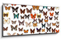 Obraz s hodinami 1D - 120 x 50 cm F_AB46470295 - butterflies - motly