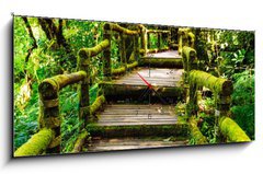 Obraz s hodinami 1D - 120 x 50 cm F_AB46782463 - Wood walkway - Dřevěná chodník