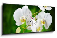 Obraz s hodinami   orchid, 120 x 50 cm